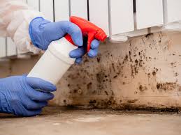 Best Residential Mold Inspection & Testing  in Weedpatch, CA